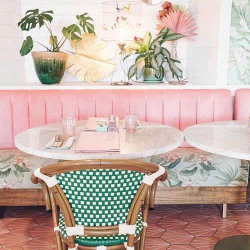 A charming café with pink seating, a marble table, a green chair, and various plants on a shelf for decoration.