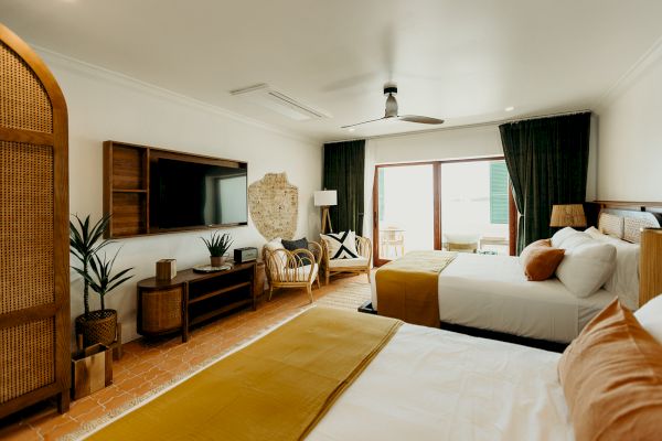 A cozy bedroom with two beds, TV, plants, and wicker accents, enhanced by natural light from a large window, creating a warm ambiance.